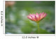 Close-Up Side View Pink Lily In Pond, Green Blurry Background Wall Mural