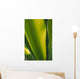 Close-Up Of Ginger Plant Leaf Yellow Green Wall Mural