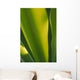 Close-Up Of Ginger Plant Leaf Yellow Green Wall Mural