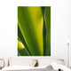 Close-Up Of Ginger Plant Leaf Yellow Green Wall Mural
