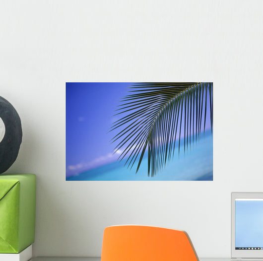 Close-Up Of Single Palm Frond Wall Mural