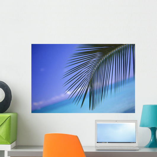 Close-Up Of Single Palm Frond Wall Mural