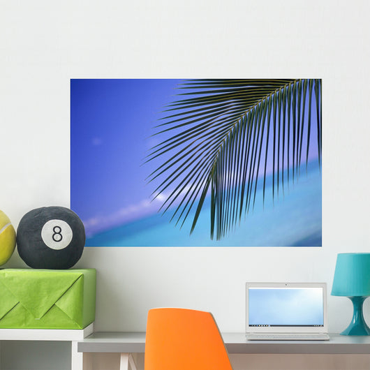 Close-Up Of Single Palm Frond Wall Mural