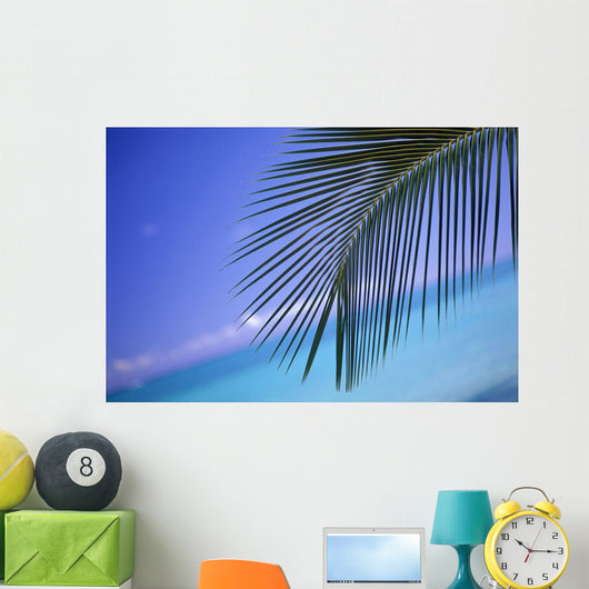 Close-Up Of Single Palm Frond Wall Mural