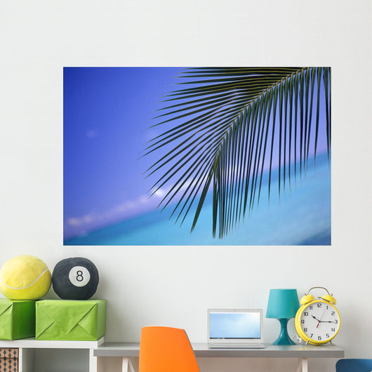 Close-Up Of Single Palm Frond Wall Mural