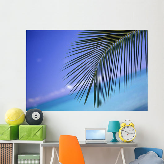 Close-Up Of Single Palm Frond Wall Mural