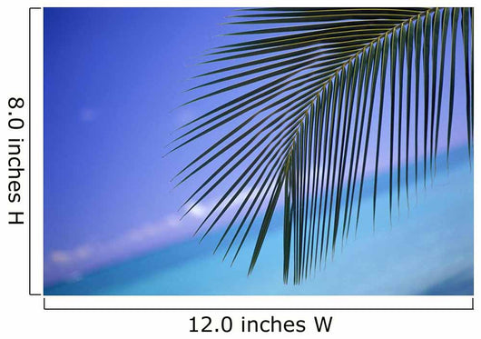 Close-Up Of Single Palm Frond Wall Mural