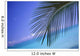 Close-Up Of Single Palm Frond Wall Mural