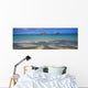 Panoramic Wall Mural