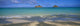 Panoramic Wall Mural
