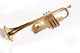 Trumpet Trompette Trumpet Wall Mural