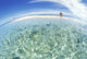 Hold Hands Blue Sky Turquoise Ocean Snorkel Gear Wide Angle View Wall Mural