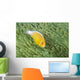 Mariana Islands, Saipan, Anemonefish And Anemone Heteractis Magnifica Wall Mural