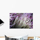 Micronesia, Close-Up Detail Anemone Tentacles White Purple Tips Wall Mural