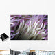 Micronesia, Close-Up Detail Anemone Tentacles White Purple Tips Wall Mural