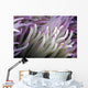 Micronesia, Close-Up Detail Anemone Tentacles White Purple Tips Wall Mural