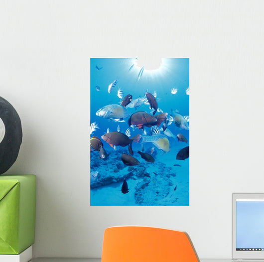 Sandy Bottom Sunburst Tropical Wall Mural