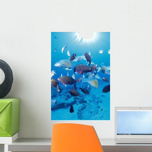 Sandy Bottom Sunburst Tropical Wall Mural