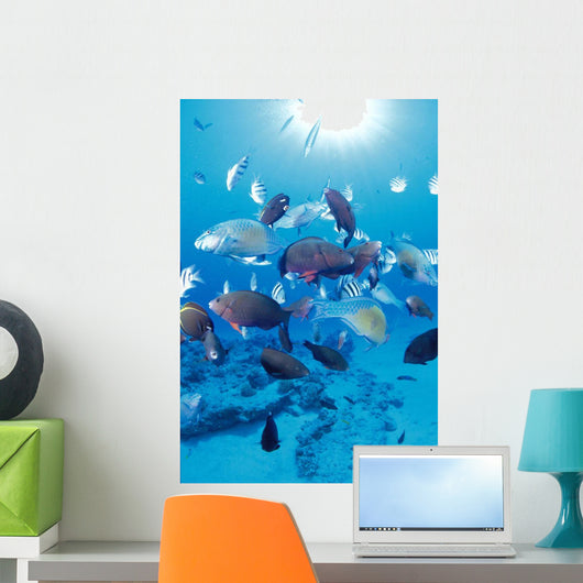 Sandy Bottom Sunburst Tropical Wall Mural