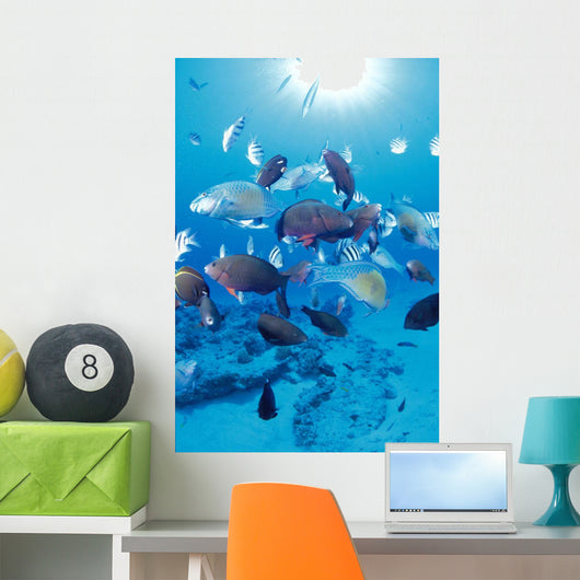 Sandy Bottom Sunburst Tropical Wall Mural