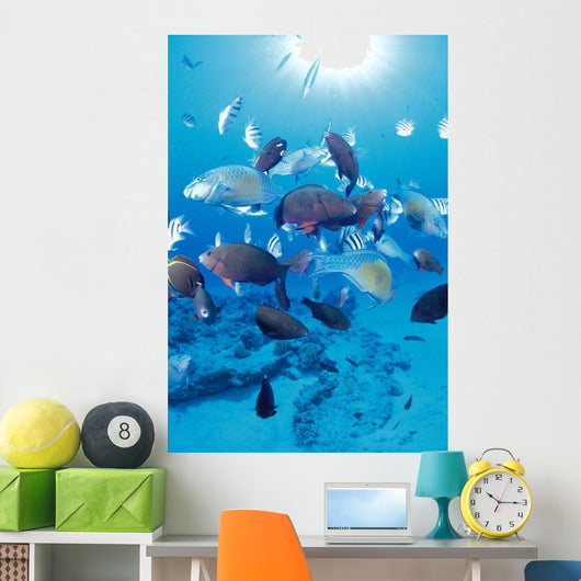 Sandy Bottom Sunburst Tropical Wall Mural