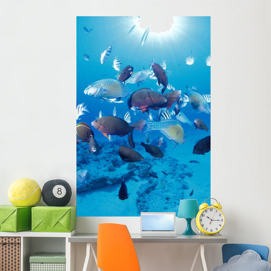 Sandy Bottom Sunburst Tropical Wall Mural
