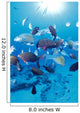 Sandy Bottom Sunburst Tropical Wall Mural