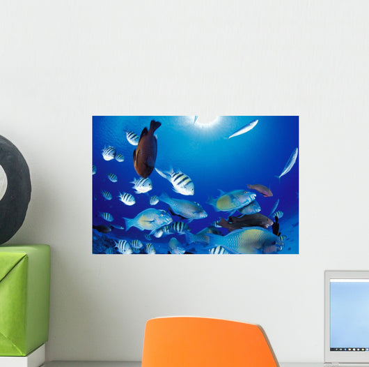 Sunburst Wall Mural