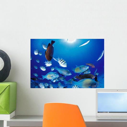 Sunburst Wall Mural