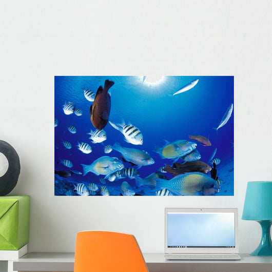 Sunburst Wall Mural