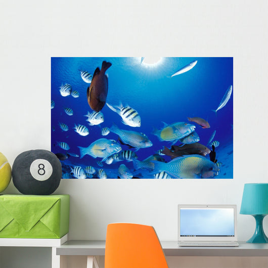 Sunburst Wall Mural