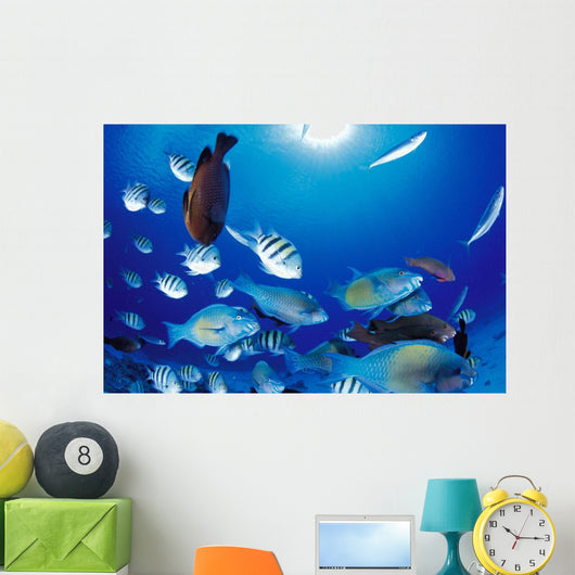 Sunburst Wall Mural