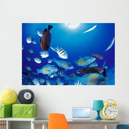 Sunburst Wall Mural