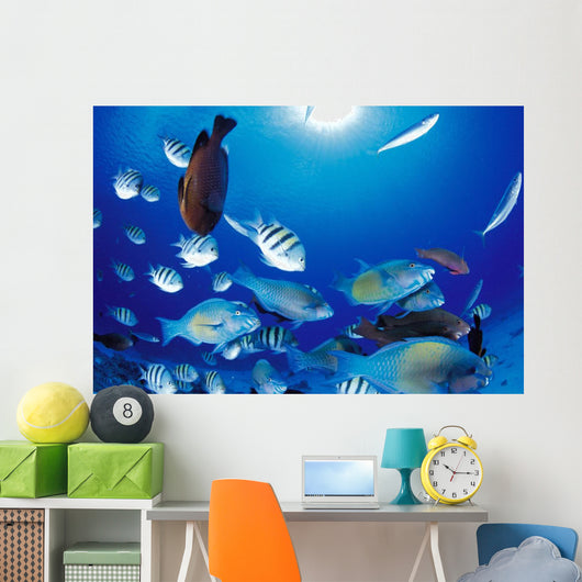 Sunburst Wall Mural
