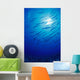 Micronesia, School Blackfin Barracuda, Silhouetted By Sunburst Wall Mural
