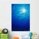 Micronesia, School Blackfin Barracuda, Silhouetted By Sunburst Wall Mural