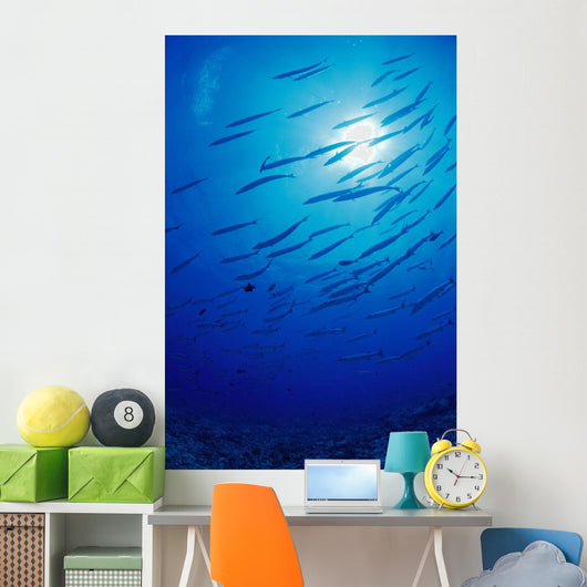 Micronesia, School Blackfin Barracuda, Silhouetted By Sunburst Wall Mural