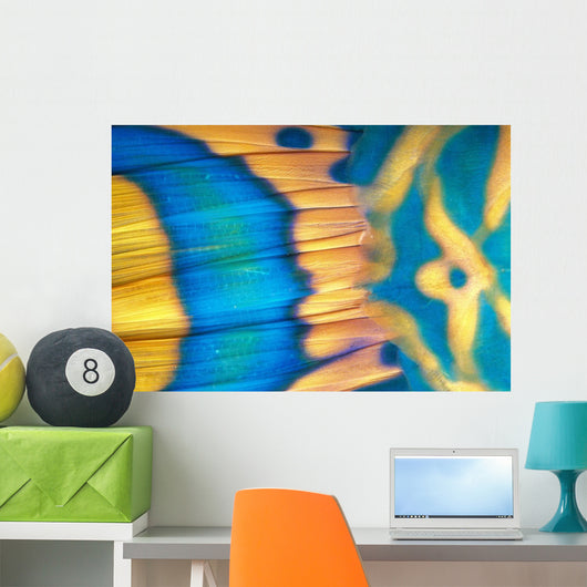 Micronesia, Extreme Close-Up Bicolor Parrotfish Tail Fin Scale Detail Wall Mural