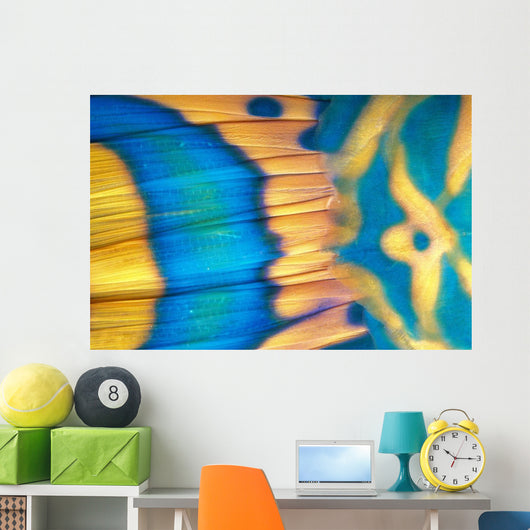 Micronesia, Extreme Close-Up Bicolor Parrotfish Tail Fin Scale Detail Wall Mural