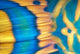 Micronesia, Extreme Close-Up Bicolor Parrotfish Tail Fin Scale Detail Wall Mural