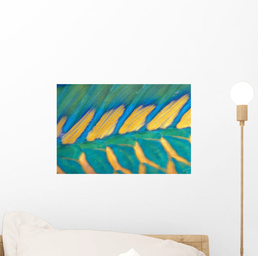 Micronesia, Bicolor Parrotfish Dorsal Fin And Scales, Detail Wall Mural