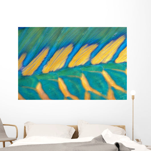 Micronesia, Bicolor Parrotfish Dorsal Fin And Scales, Detail Wall Mural