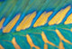 Micronesia, Bicolor Parrotfish Dorsal Fin And Scales, Detail Wall Mural