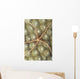 Micronesia, Close-Up Brittle Star On Hard Coral Wall Mural