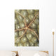 Micronesia, Close-Up Brittle Star On Hard Coral Wall Mural