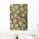 Micronesia, Close-Up Brittle Star On Hard Coral Wall Mural
