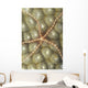 Micronesia, Close-Up Brittle Star On Hard Coral Wall Mural
