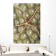 Micronesia, Close-Up Brittle Star On Hard Coral Wall Mural