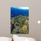 Reef Scene With Orange-Fin Anemonefish School Wall Mural