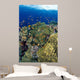 Reef Scene With Orange-Fin Anemonefish School Wall Mural